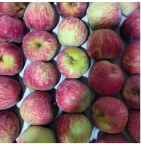 Apples - Royal Delicious (Small)